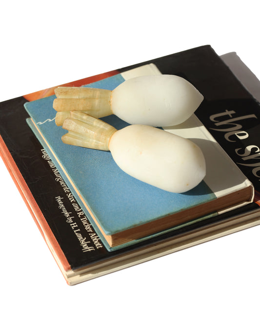 Vintage Stone Turnip Decor