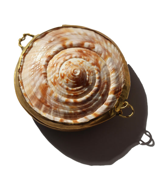 Spiral Shell Stash Box