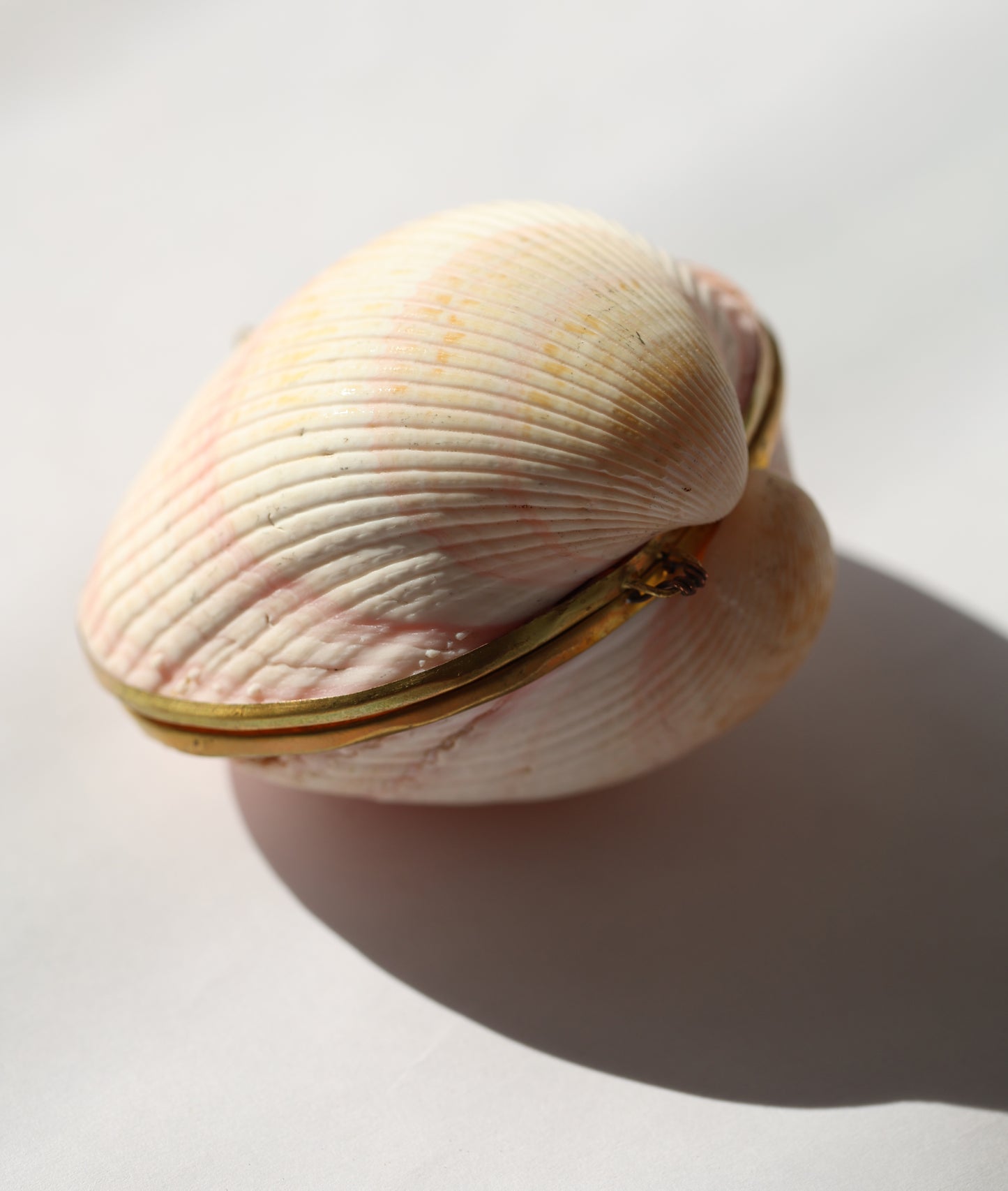 Clam Shell Stash Box