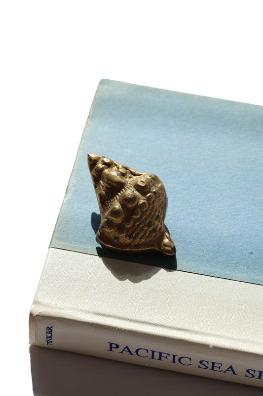 Vintage Brass Triton Shell