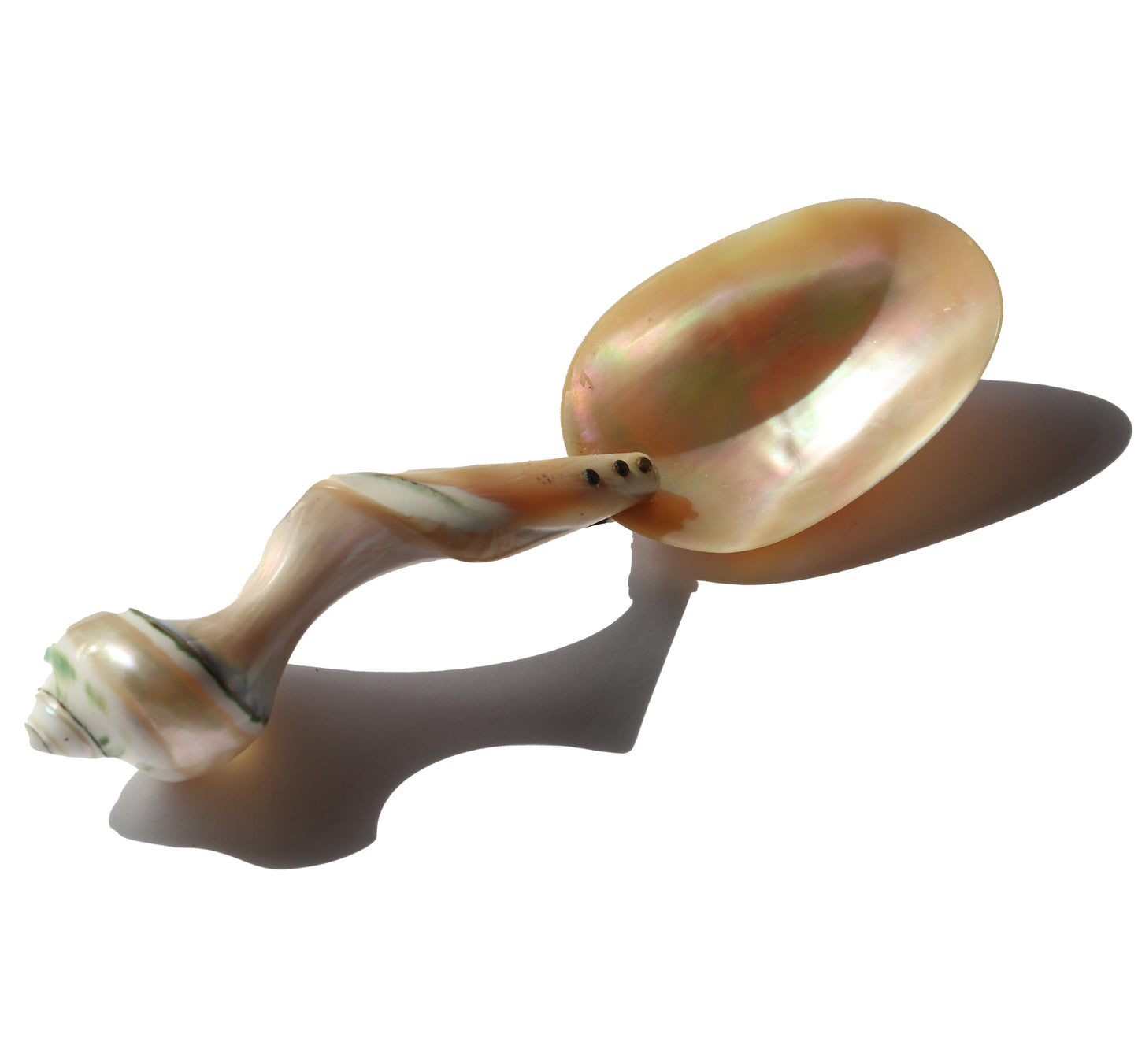 Vintage Turbo Shell Serving Spoon