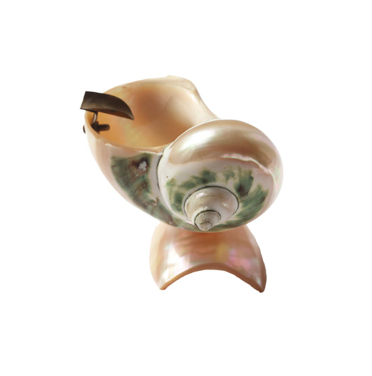 1980s Turbo Shell Ashtray