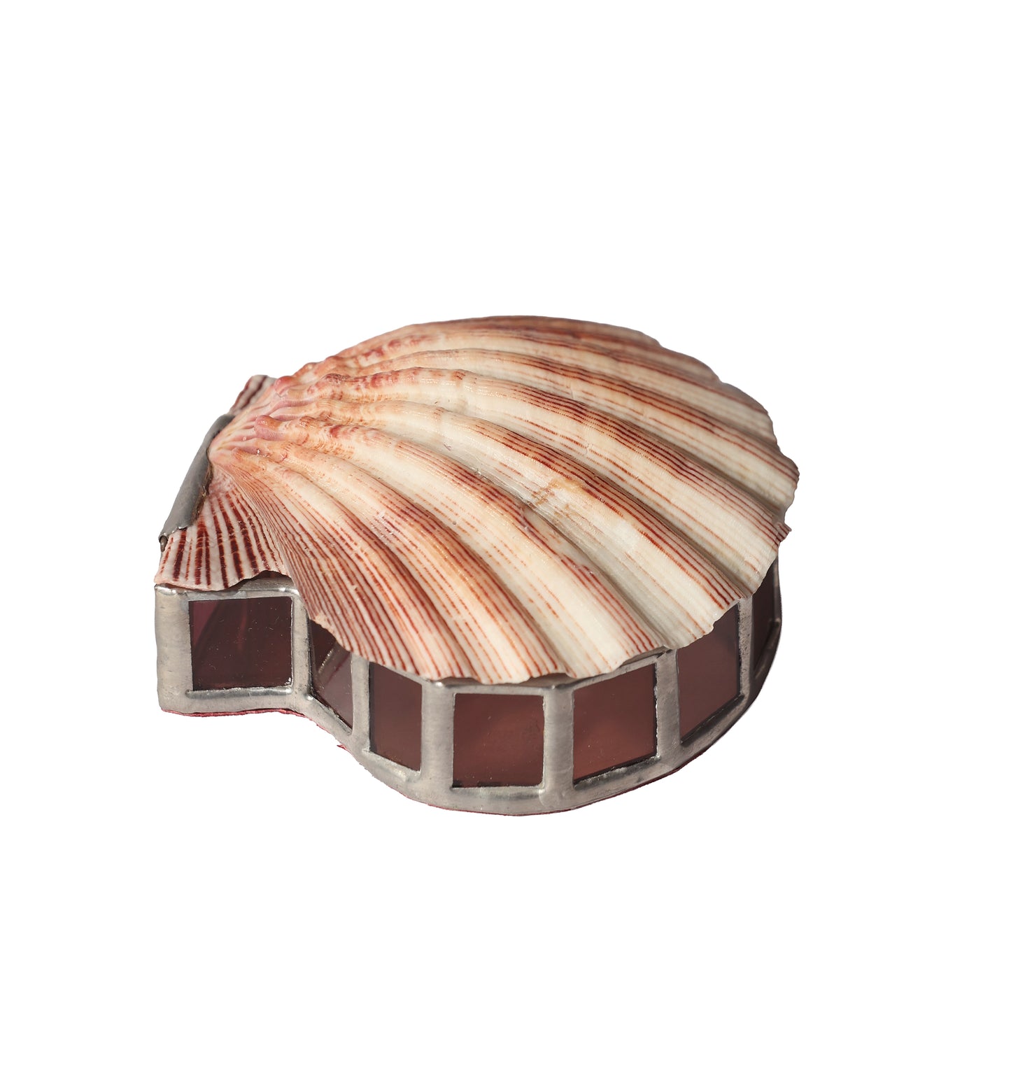 RARE 1990s Scallop Shell Glass Box