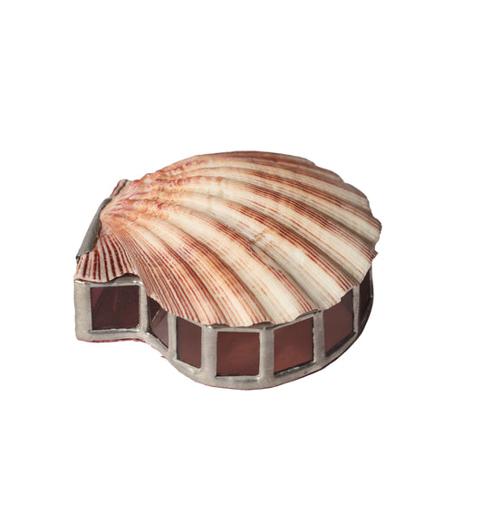 RARE 1990s Scallop Shell Glass Box