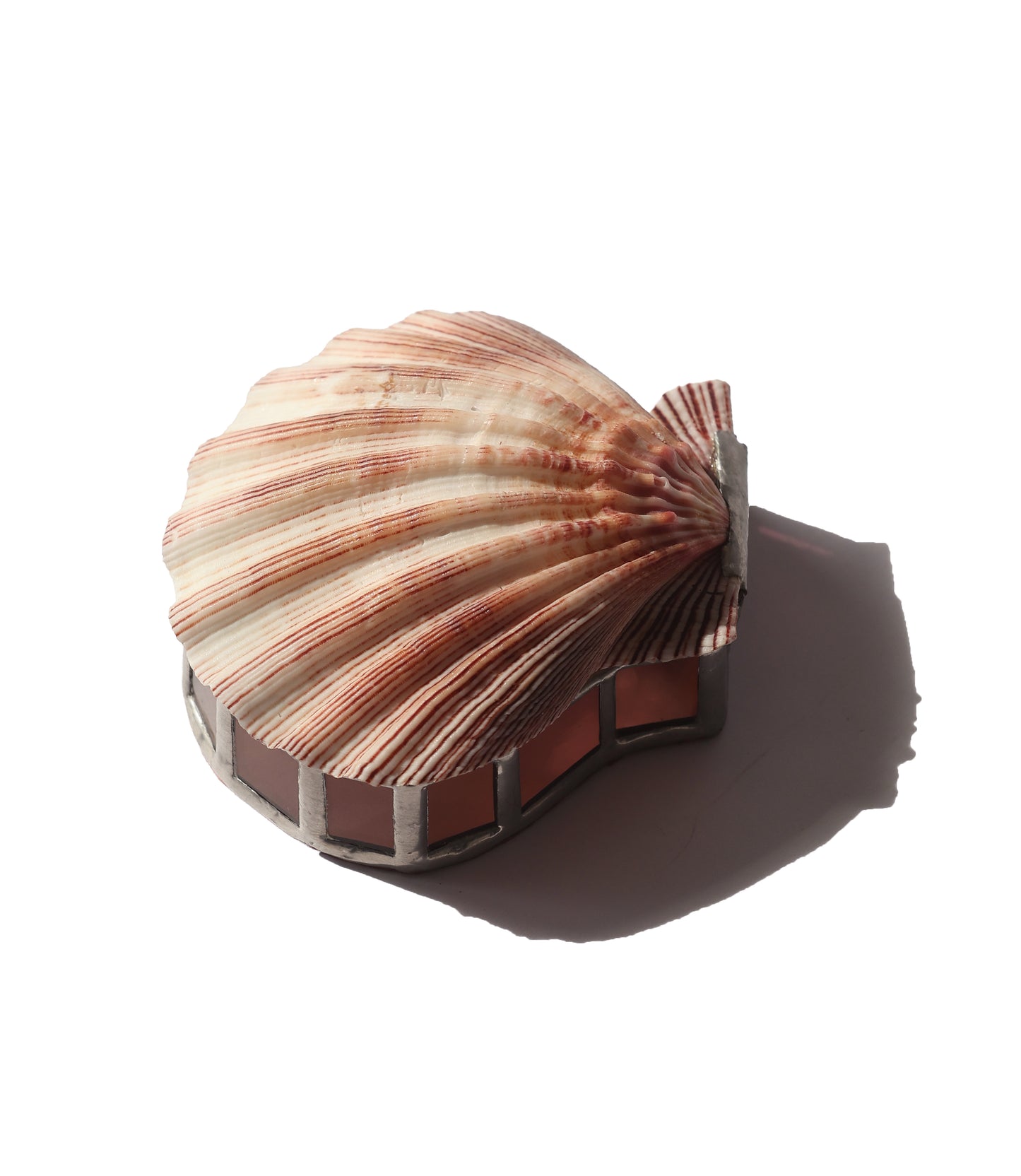 RARE 1990s Scallop Shell Glass Box