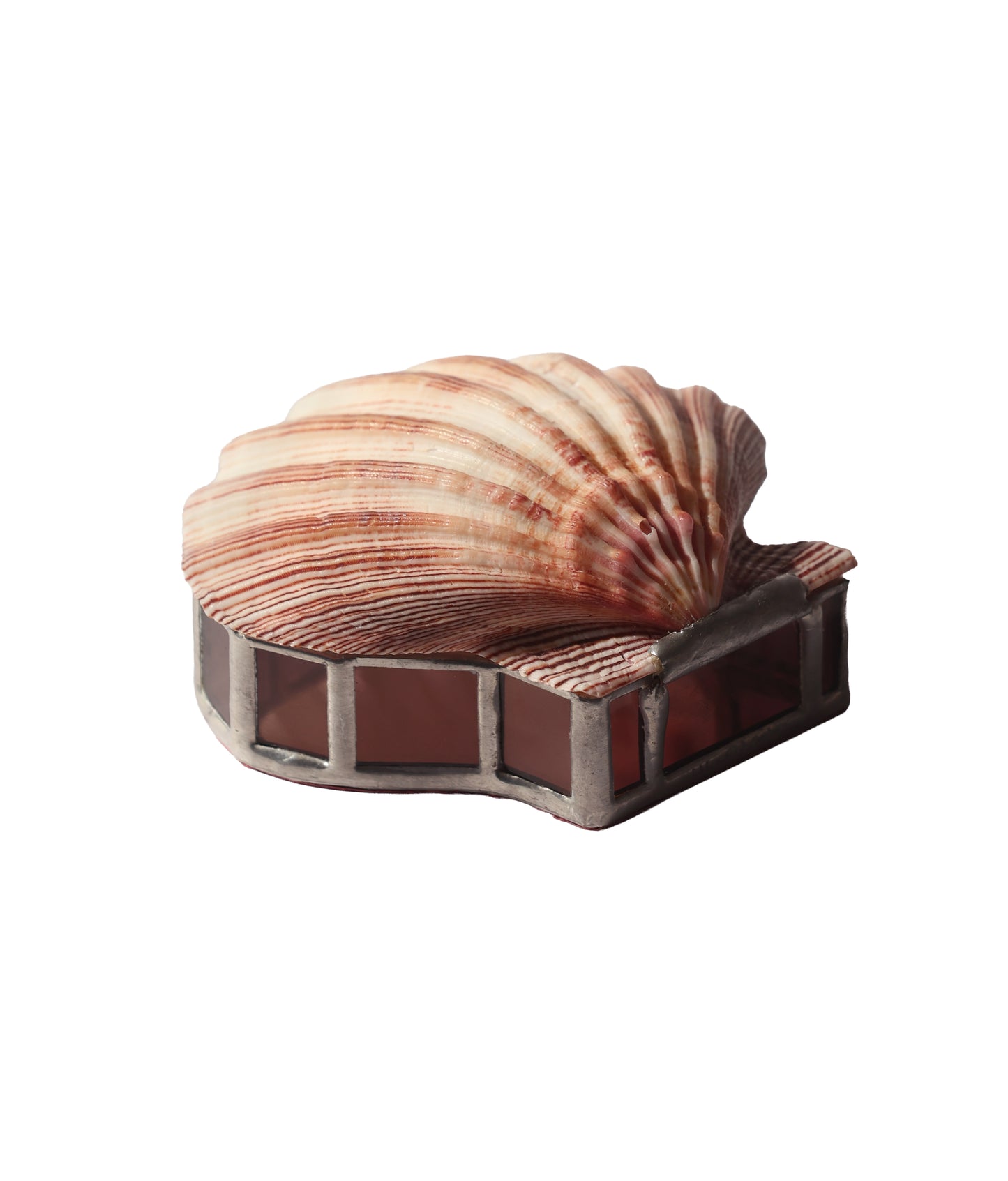 RARE 1990s Scallop Shell Glass Box