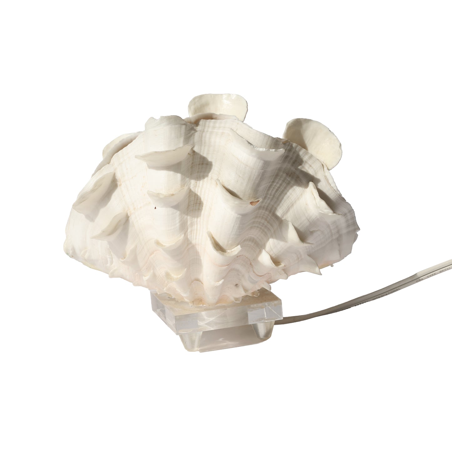 Antique Ruffle Clam Shell Lamp