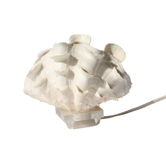 Antique Ruffle Clam Shell Lamp
