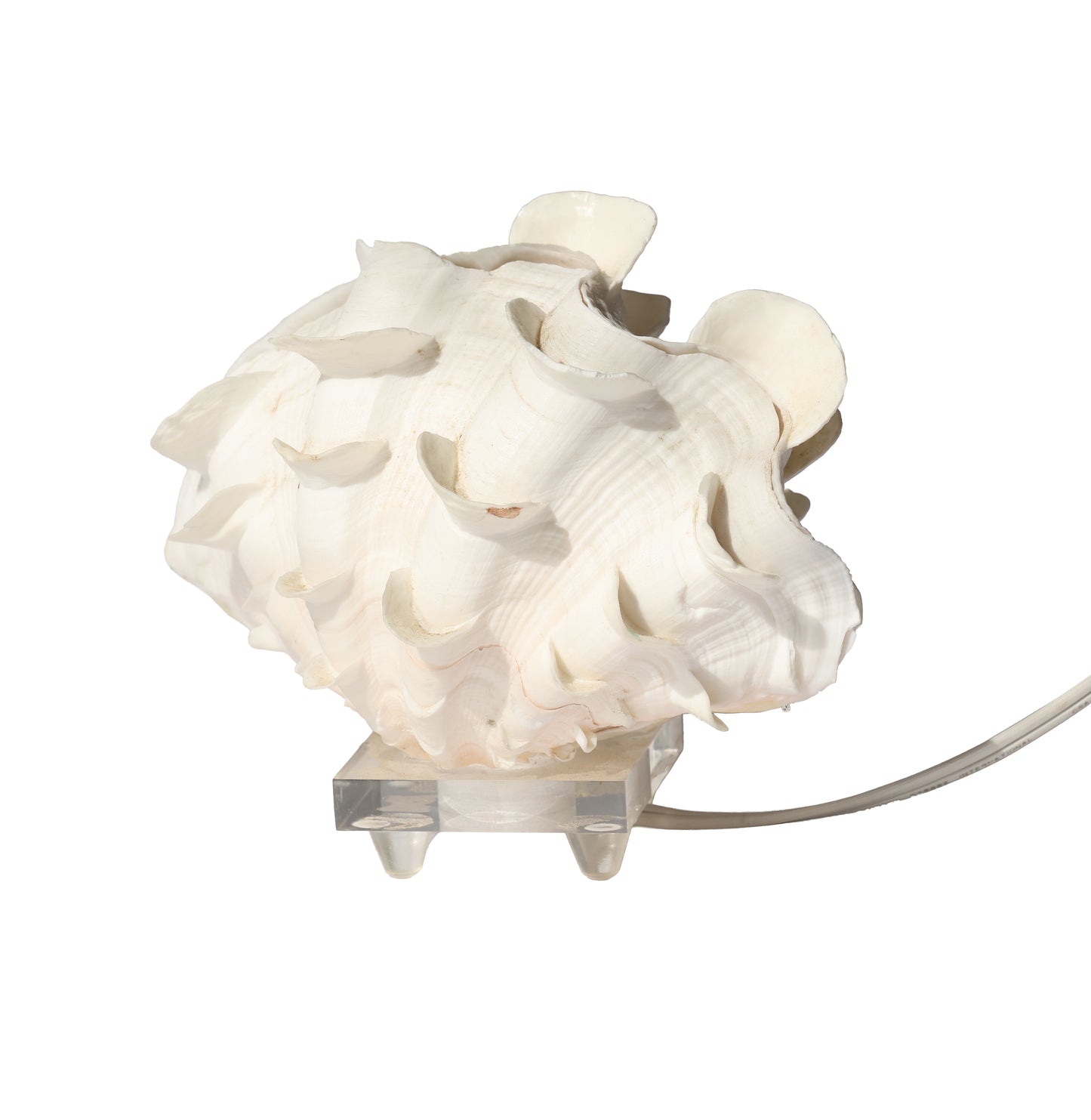 Antique Ruffle Clam Shell Lamp