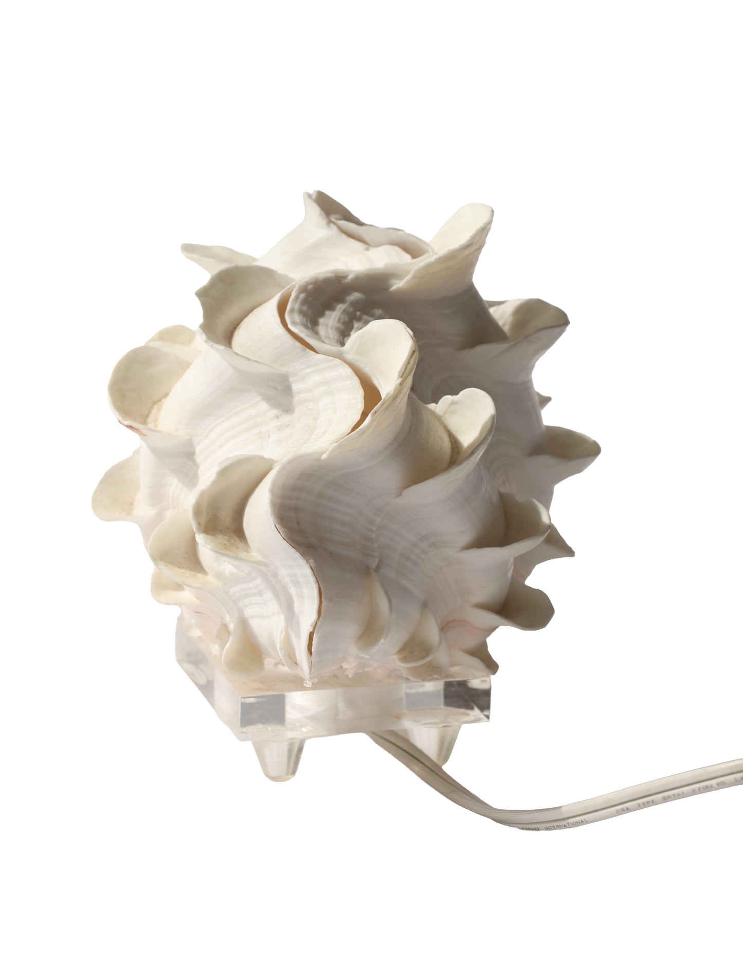Antique Ruffle Clam Shell Lamp