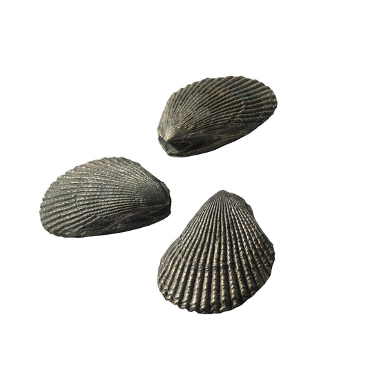 1980s Pewter Clam Shell Trio