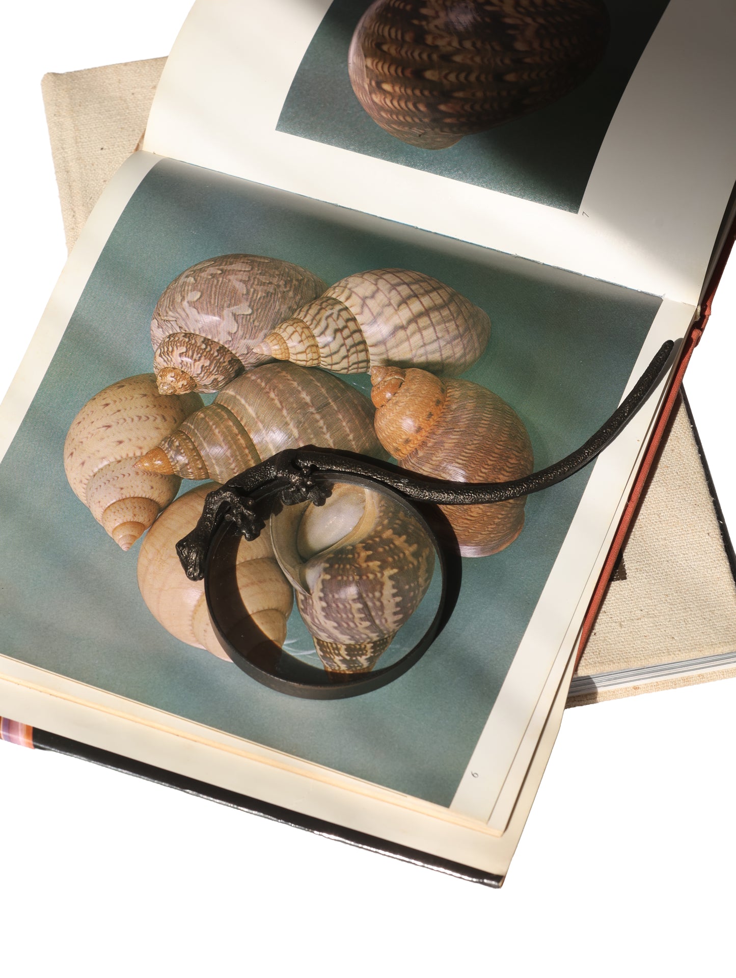 RARE Antique Gecko Magnifying Glass