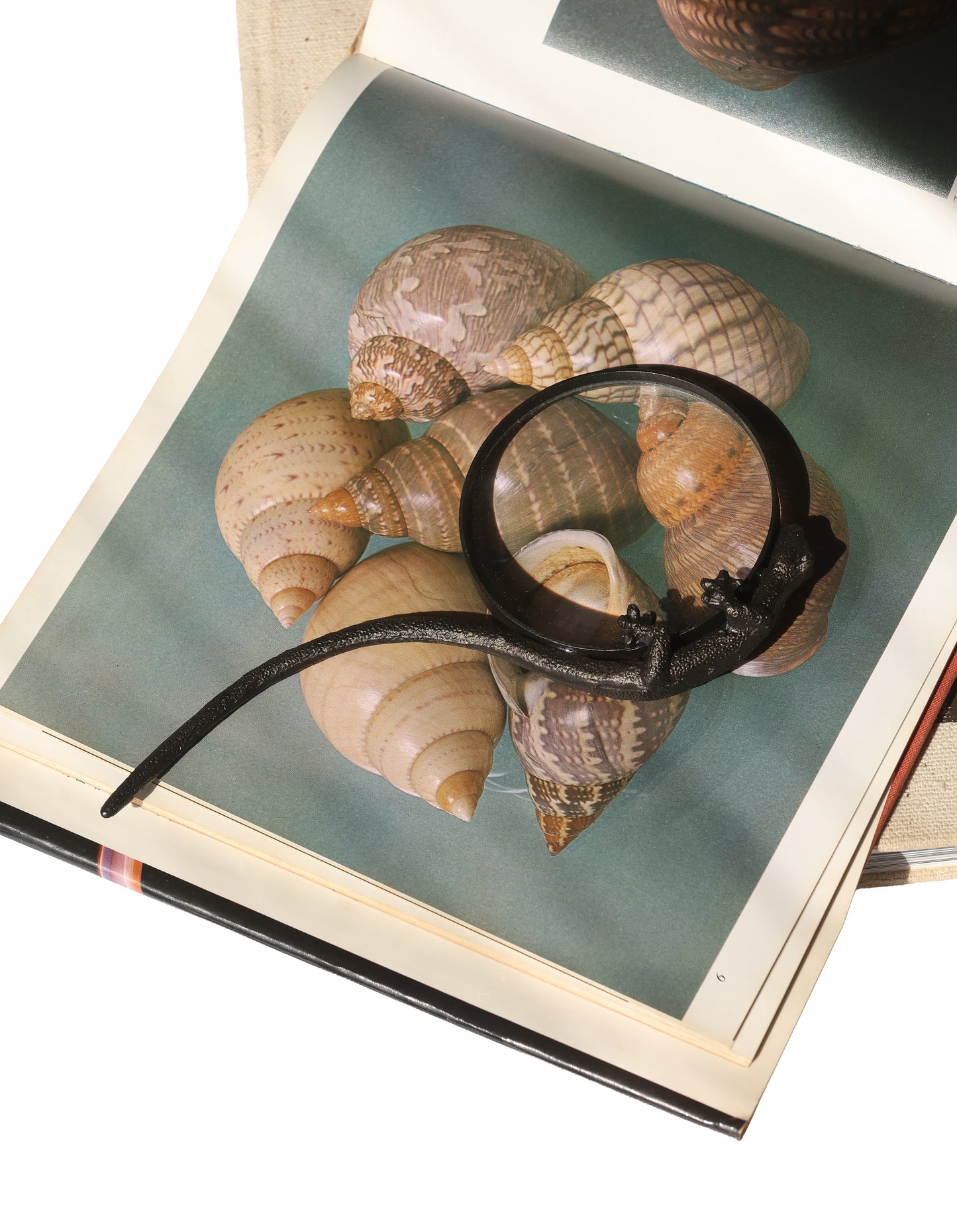 RARE Antique Gecko Magnifying Glass