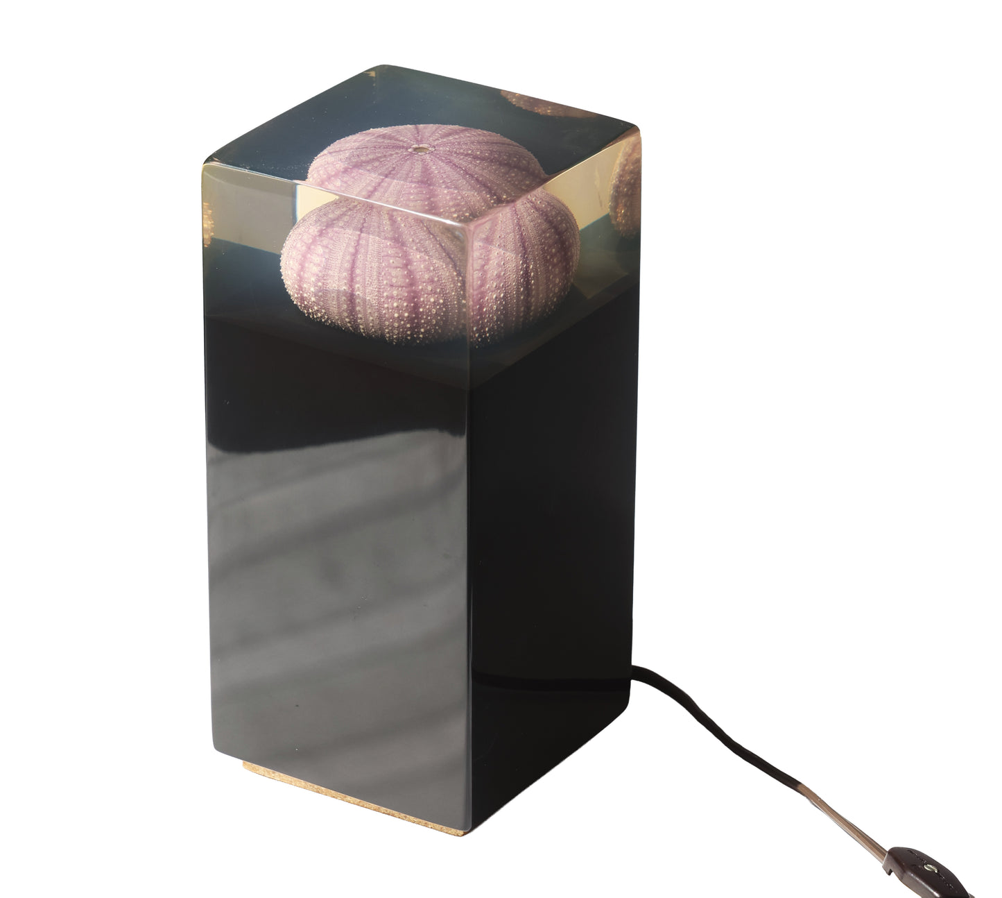 RARE Vintage Urchin Acrylic Night Light