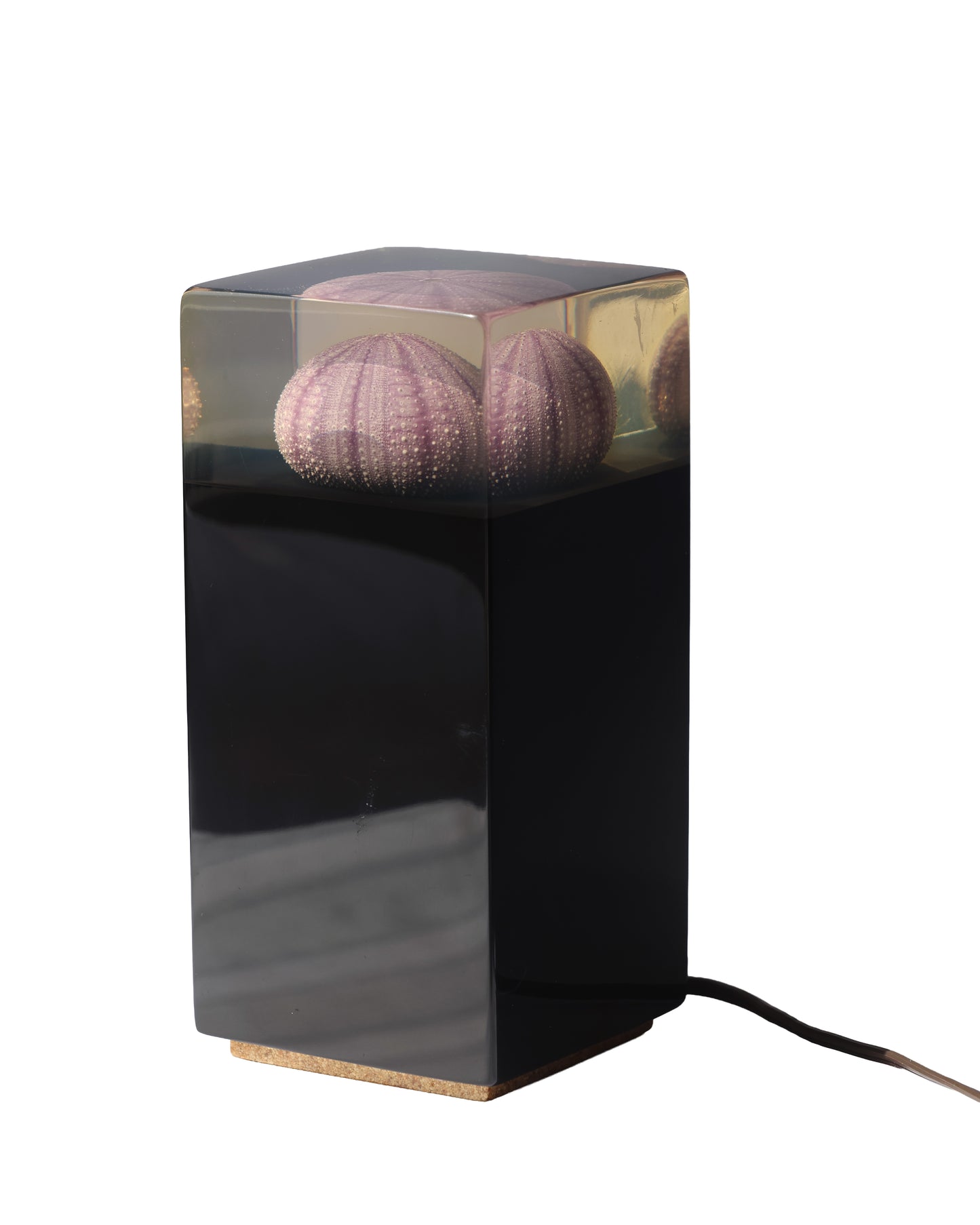 RARE Vintage Urchin Acrylic Night Light