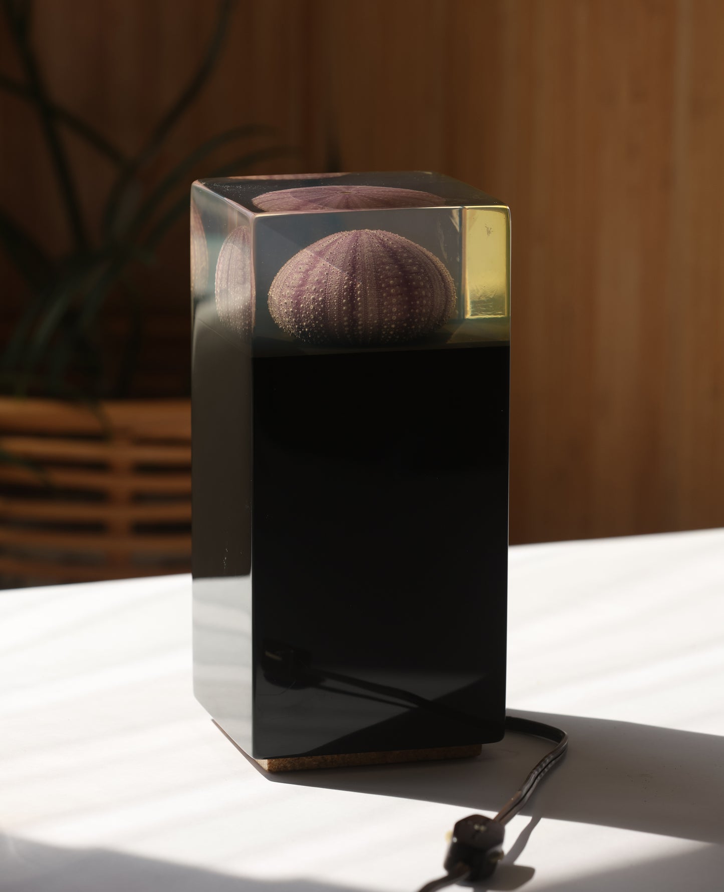 RARE Vintage Urchin Acrylic Night Light