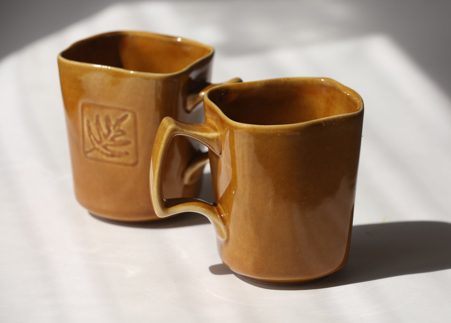 Hawaii Fern 2000s Mug (2)