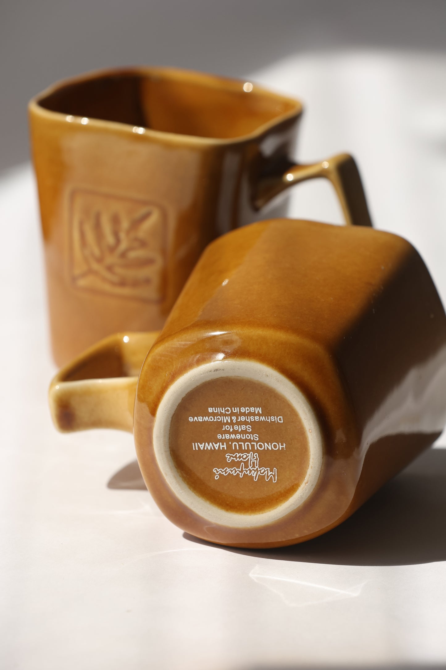 Hawaii Fern 2000s Mug (2)