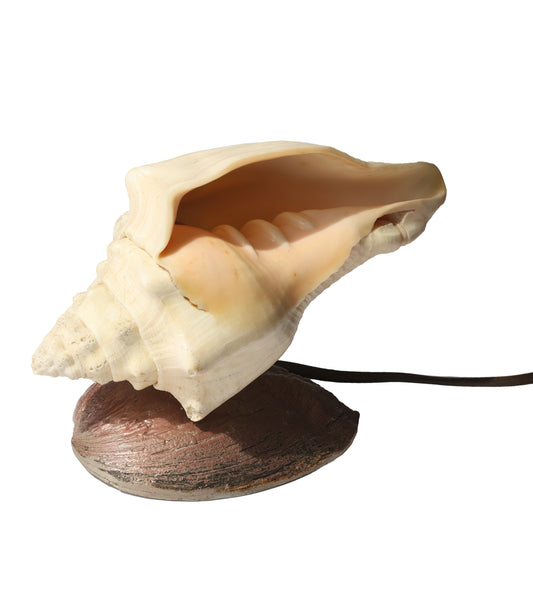 Vintage Whelk Conch & Abalone Shell Lamp