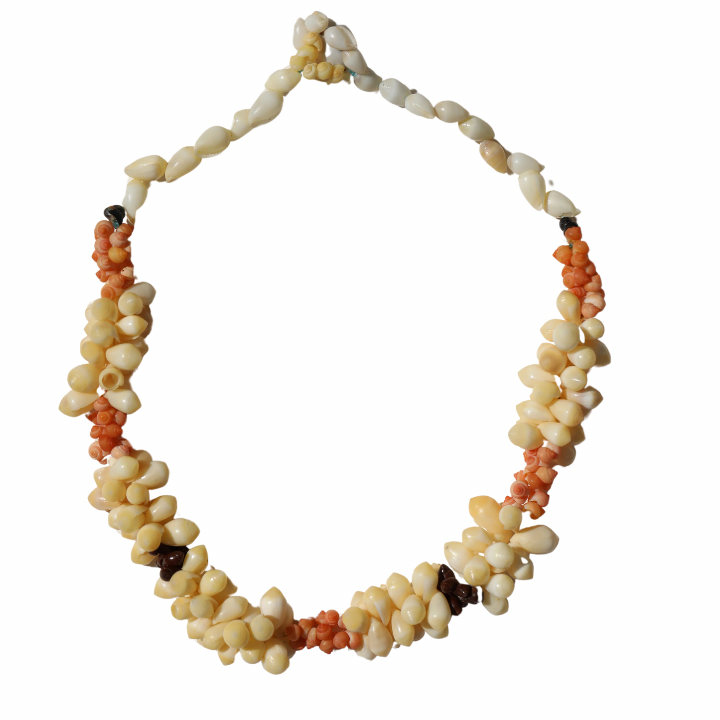 RARE Tahitian Cone Shell Arrangement Necklace