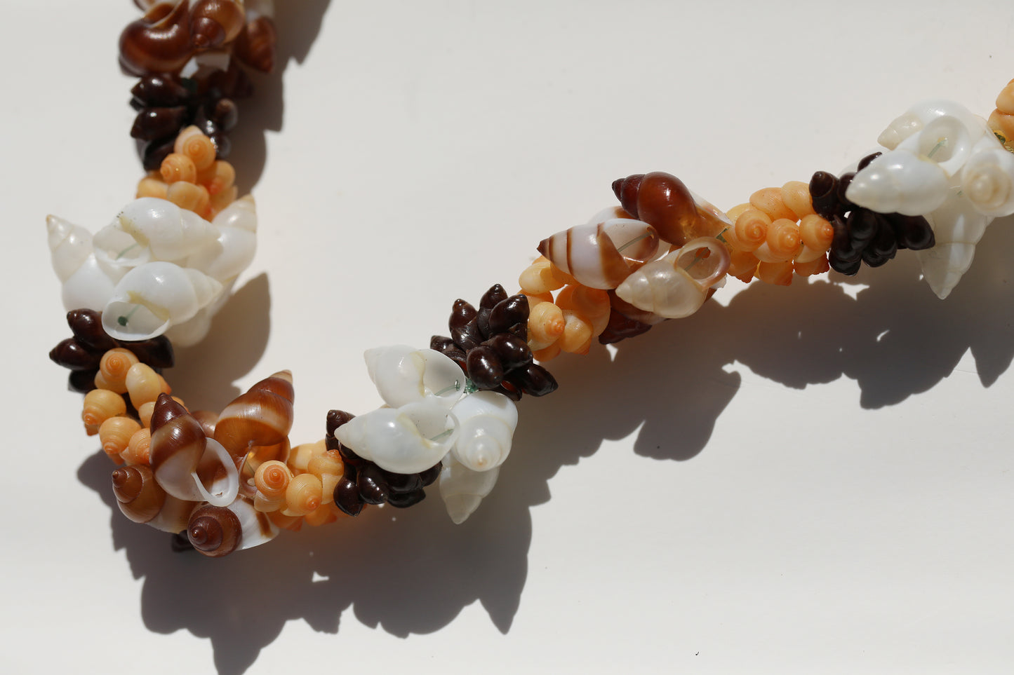 RARE Tahitian Bubble Shell Arrangement Choker