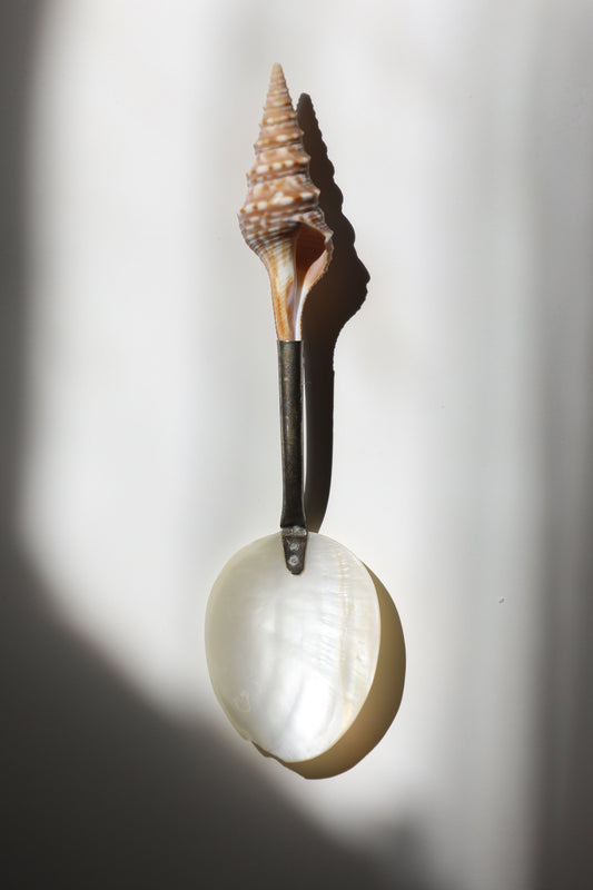 Vintage Sea Shell Handle MOP Spoon