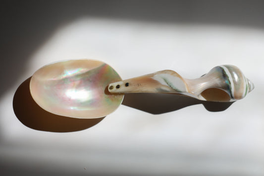 Vintage Turbo Shell Serving Spoon