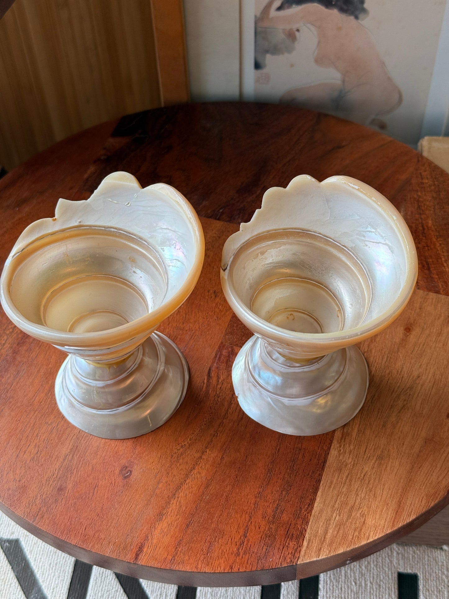 Vintage Turbo Shell Cups (Imperfect)